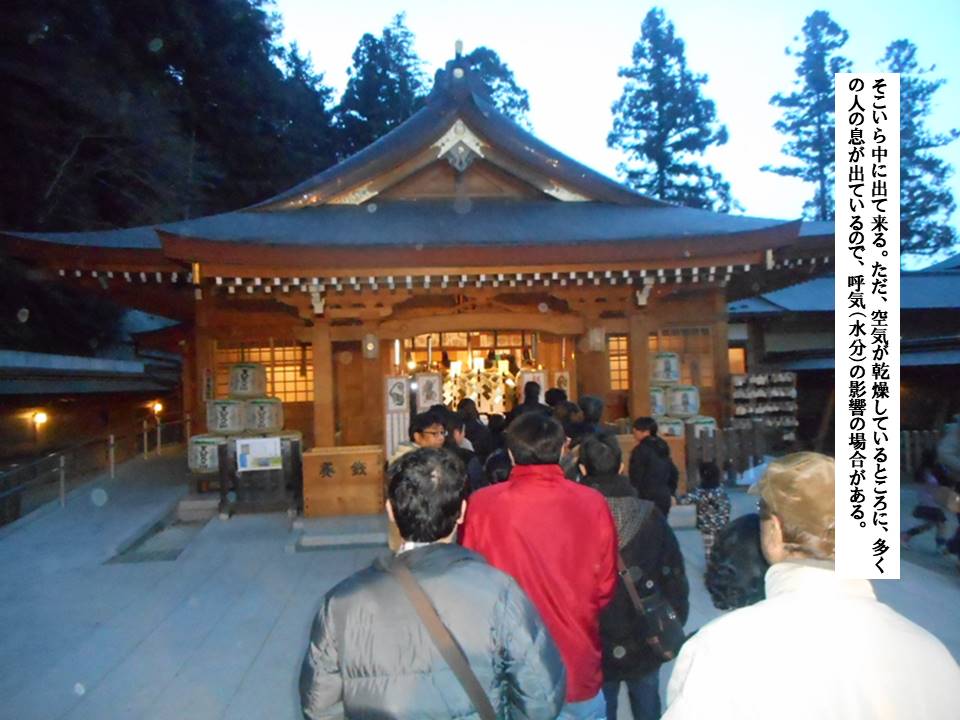 f:id:seiichiconan:20201028053810j:plain f:id:seiichiconan:20201028053810j:plain