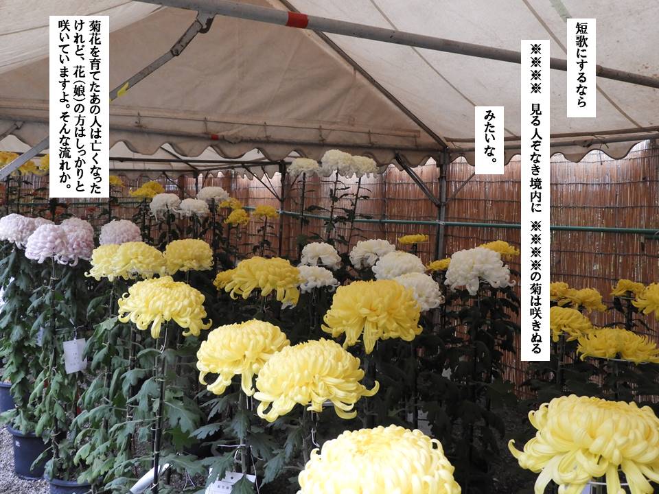 f:id:seiichiconan:20201103011403j:plain f:id:seiichiconan:20201103011403j:plain