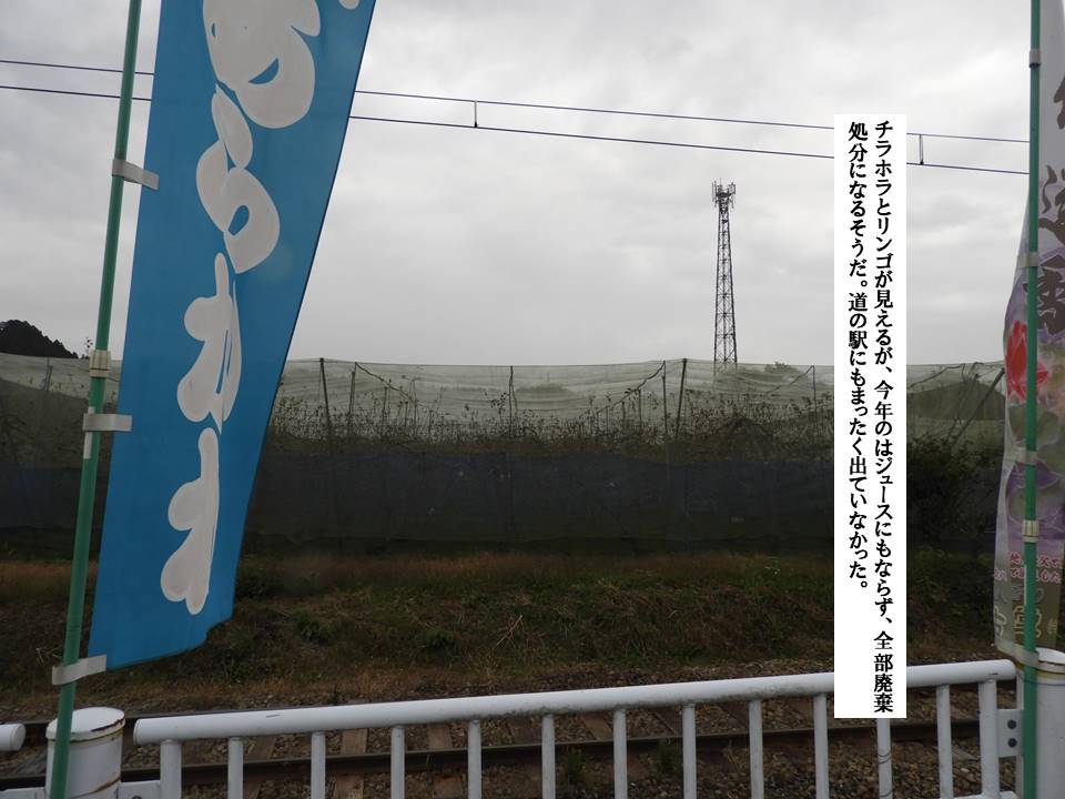 f:id:seiichiconan:20201103011514j:plain f:id:seiichiconan:20201103011514j:plain