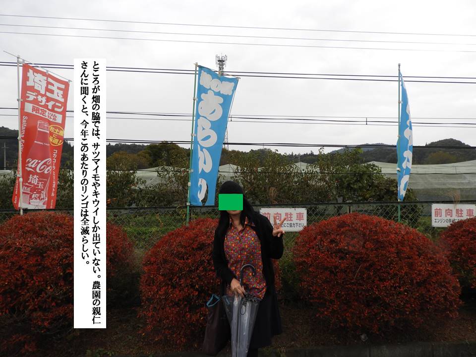 f:id:seiichiconan:20201103011529j:plain f:id:seiichiconan:20201103011529j:plain