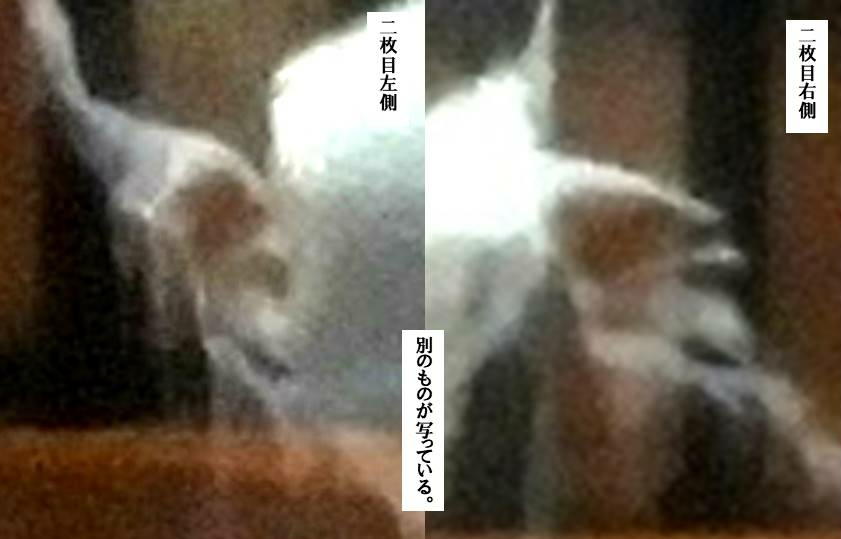 f:id:seiichiconan:20210101163905j:plain