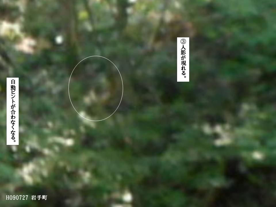 f:id:seiichiconan:20210108123152j:plain