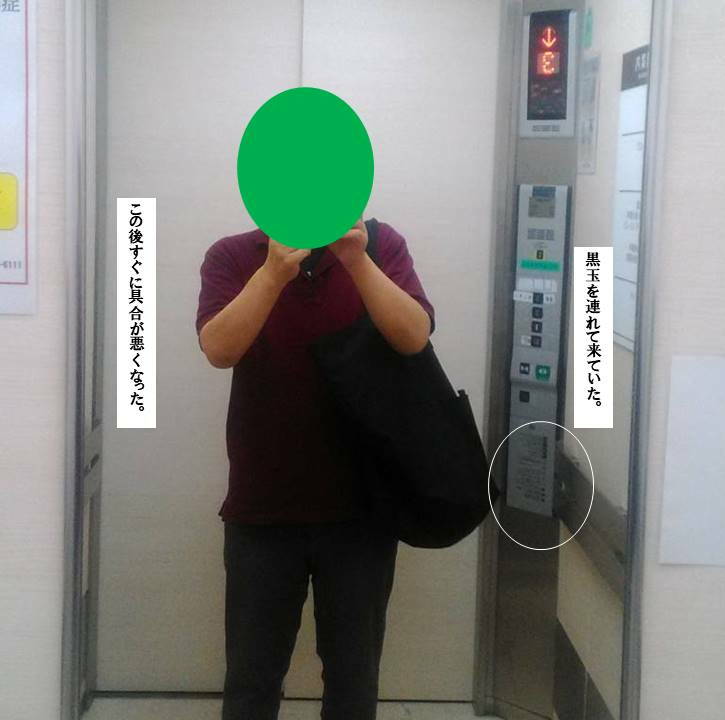 f:id:seiichiconan:20211001000601j:plain