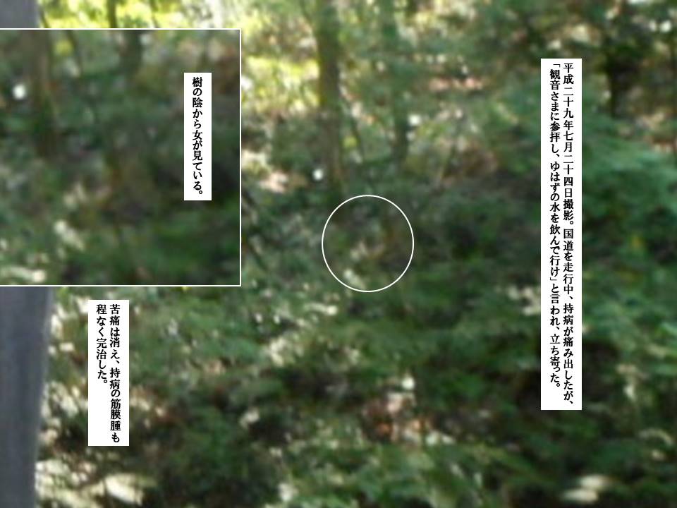 f:id:seiichiconan:20211027112406j:plain