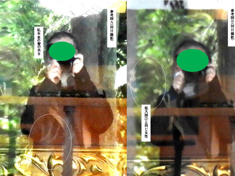 f:id:seiichiconan:20220324011128j:plain