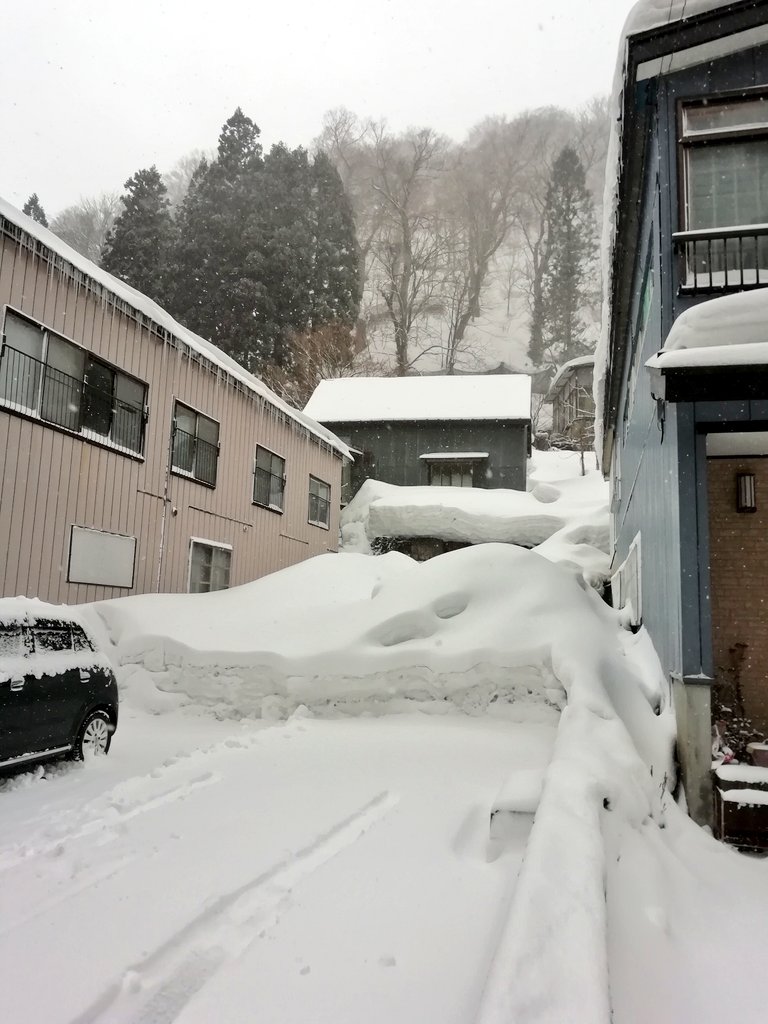 f:id:seiichirou-02:20190208150146j:plain f:id:seiichirou-02:20190208150146j:plain