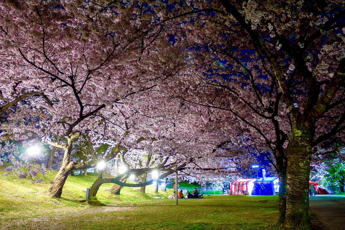 f:id:seiichirou-02:20190421201013j:plain