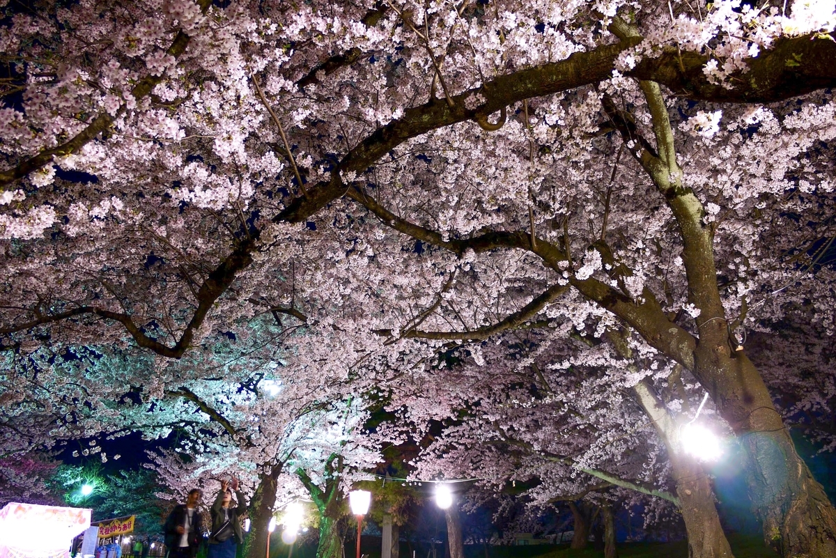 f:id:seiichirou-02:20190421201306j:plain