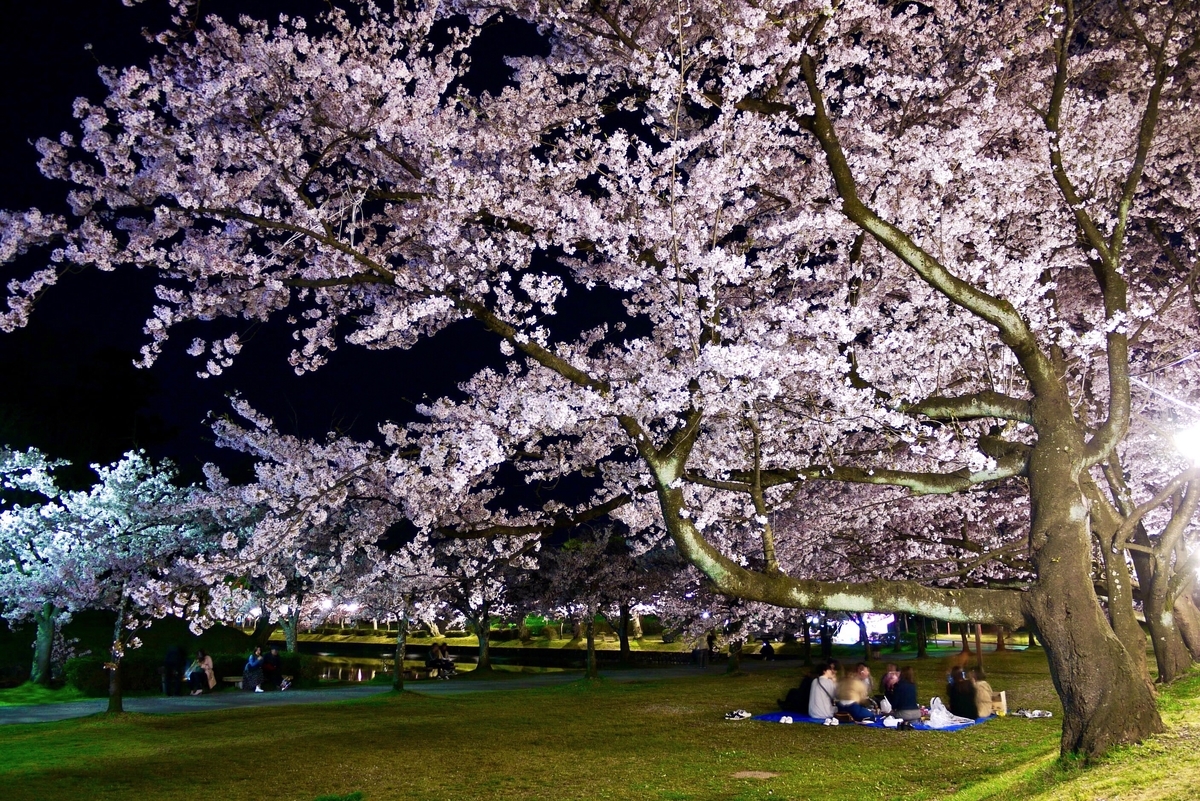 f:id:seiichirou-02:20190421202543j:plain