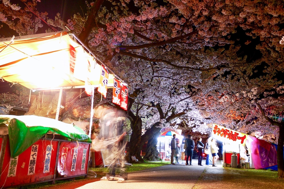 f:id:seiichirou-02:20190421203830j:plain