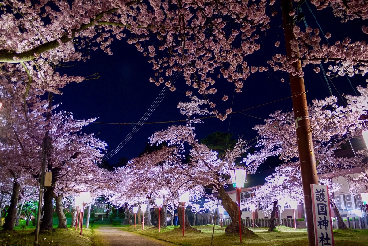 f:id:seiichirou-02:20190421204703j:plain