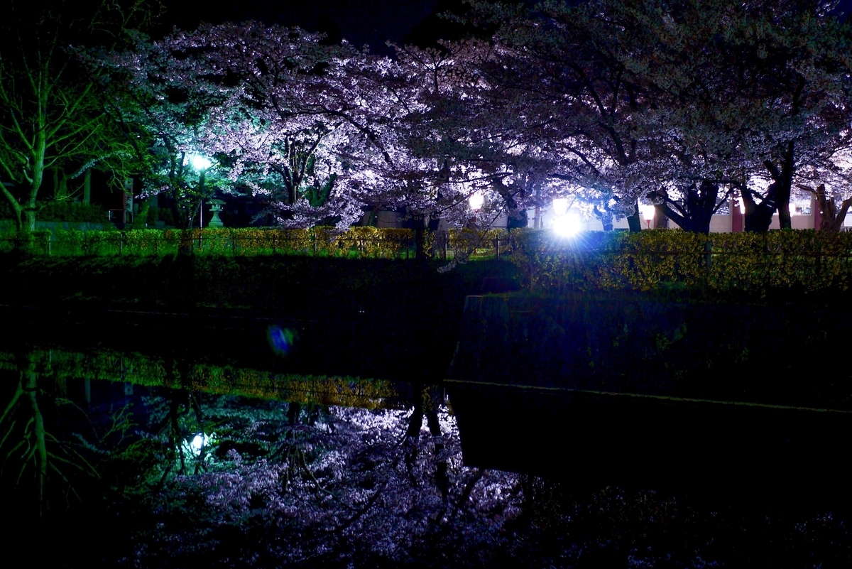 f:id:seiichirou-02:20190421205433j:plain