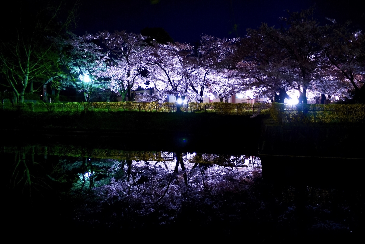 f:id:seiichirou-02:20190421205625j:plain