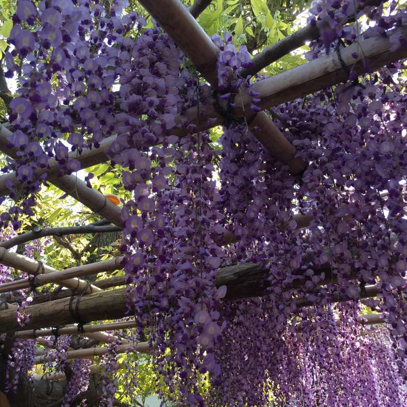 f:id:seijiota:20170429210649j:plain f:id:seijiota:20170429210649j:plain