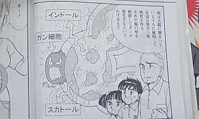 f:id:seijotcp:20080921110018j:image f:id:seijotcp:20080921110018j:image