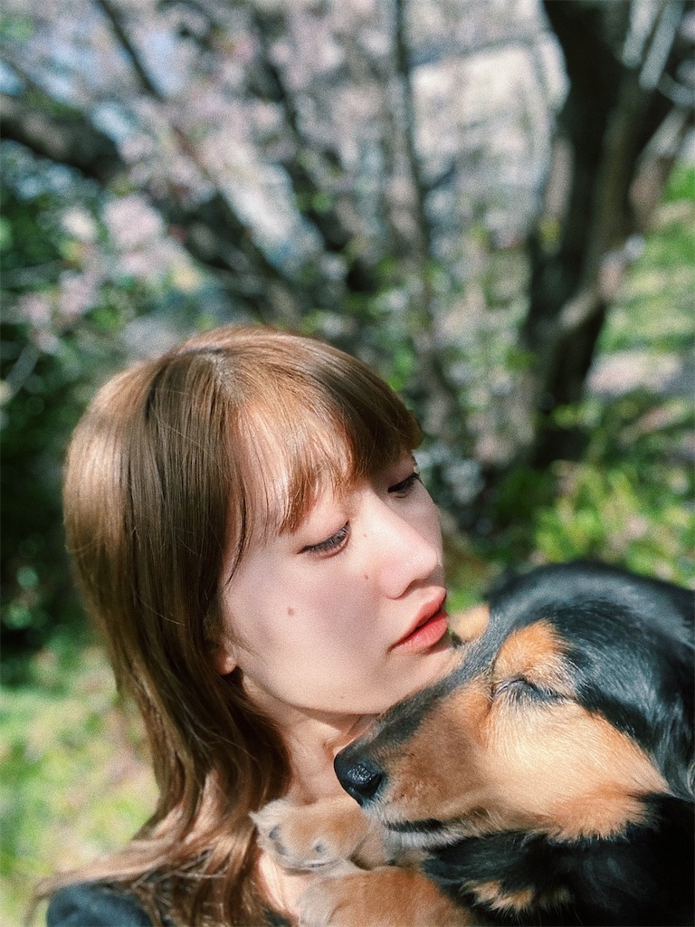 f:id:seijunchann:20260424183907j:image