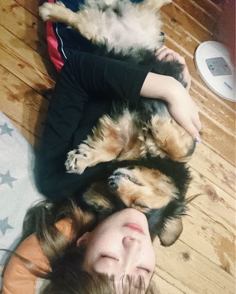f:id:seijunchann:20260424183934j:image