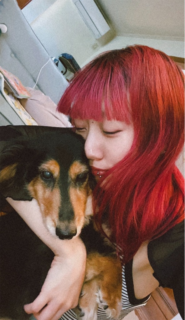 f:id:seijunchann:20260424184016j:image