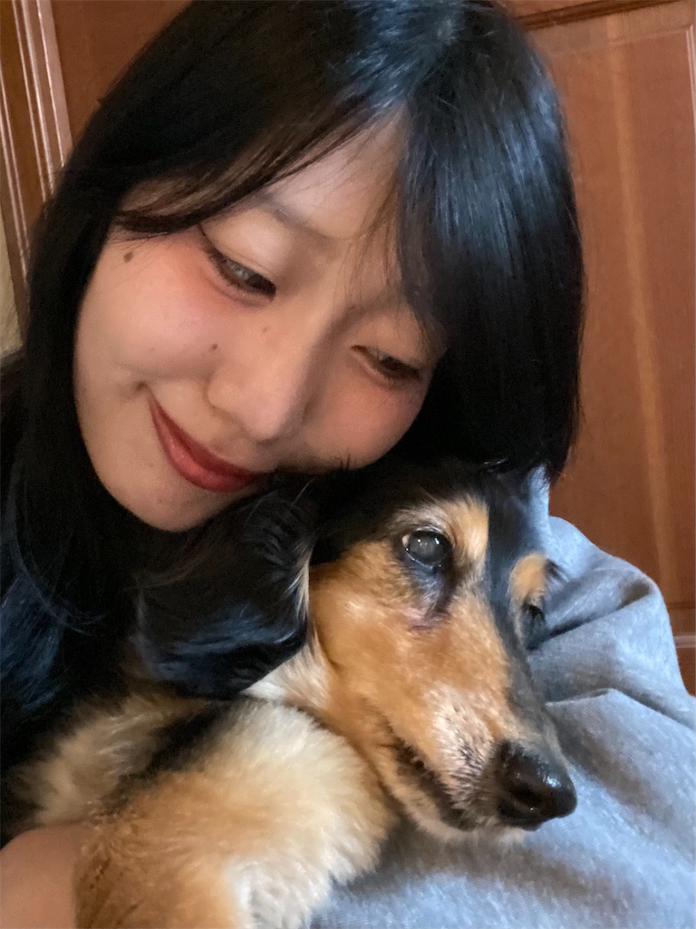 f:id:seijunchann:20260424184043j:image