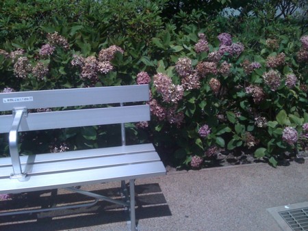f:id:seika_m:20120710125955j:image