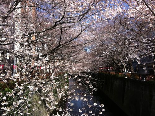20110404084128