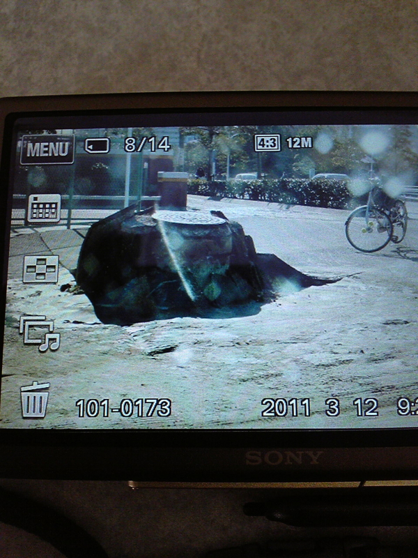 f:id:seikagakuen:20110312133806j:image f:id:seikagakuen:20110312133806j:image