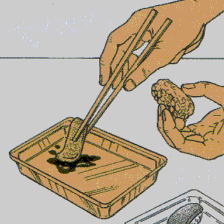 f:id:seikatsugakkai:20070610121040g:image f:id:seikatsugakkai:20070610121040g:image