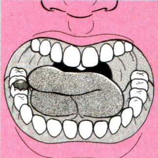 f:id:seikatsugakkai:20070623105138j:image:left f:id:seikatsugakkai:20070623105138j:image:left