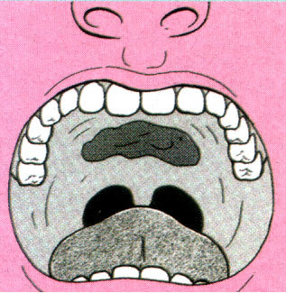 f:id:seikatsugakkai:20070623105139j:image:left f:id:seikatsugakkai:20070623105139j:image:left