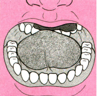 f:id:seikatsugakkai:20070623105140j:image:left f:id:seikatsugakkai:20070623105140j:image:left