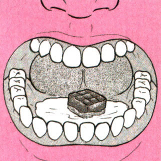 f:id:seikatsugakkai:20070623105141j:image:left f:id:seikatsugakkai:20070623105141j:image:left