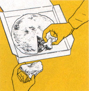 f:id:seikatsugakkai:20071020141214j:image:left