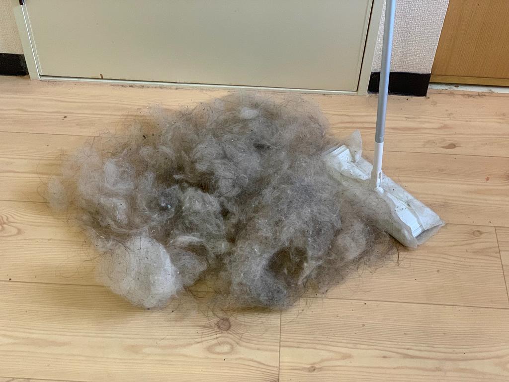 f:id:seikatsuhogo:20190208094912j:plain f:id:seikatsuhogo:20190208094912j:plain
