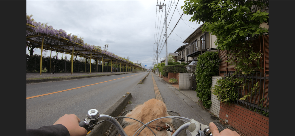 f:id:seikatsuhogo:20190501211551p:image f:id:seikatsuhogo:20190501211551p:image