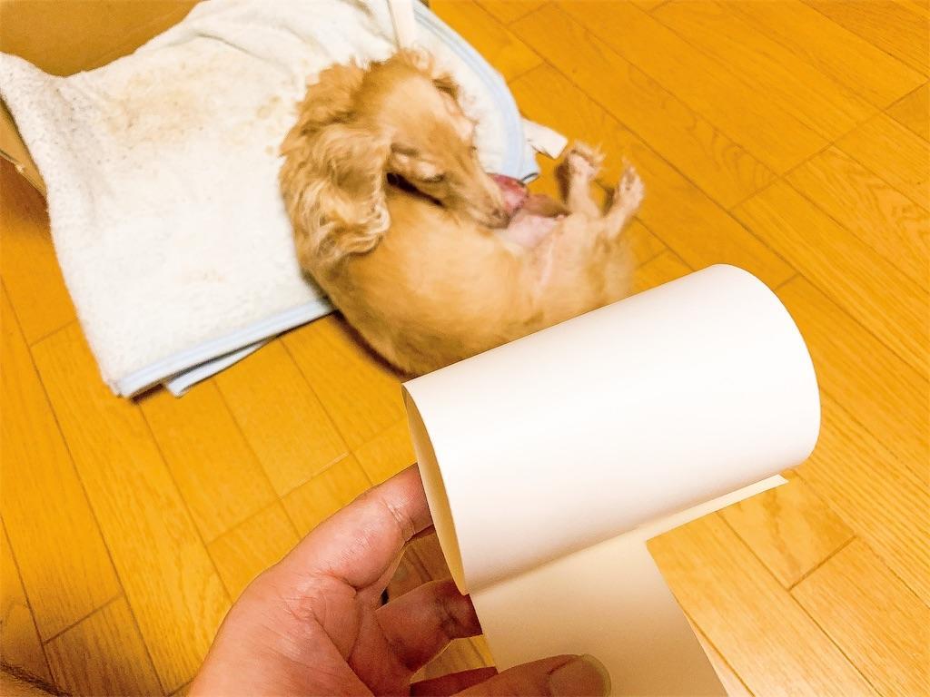 f:id:seikatsuhogo:20190928220800j:image f:id:seikatsuhogo:20190928220800j:image