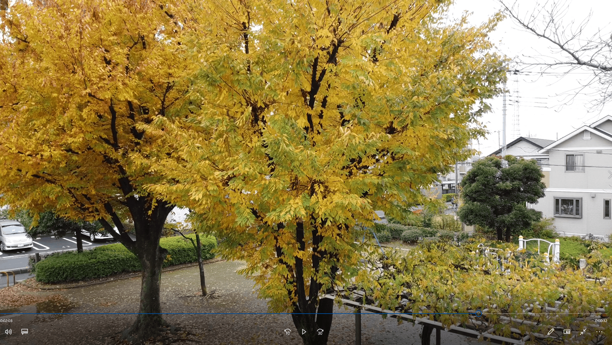 f:id:seikatsuhogo:20191124135252p:plain f:id:seikatsuhogo:20191124135252p:plain