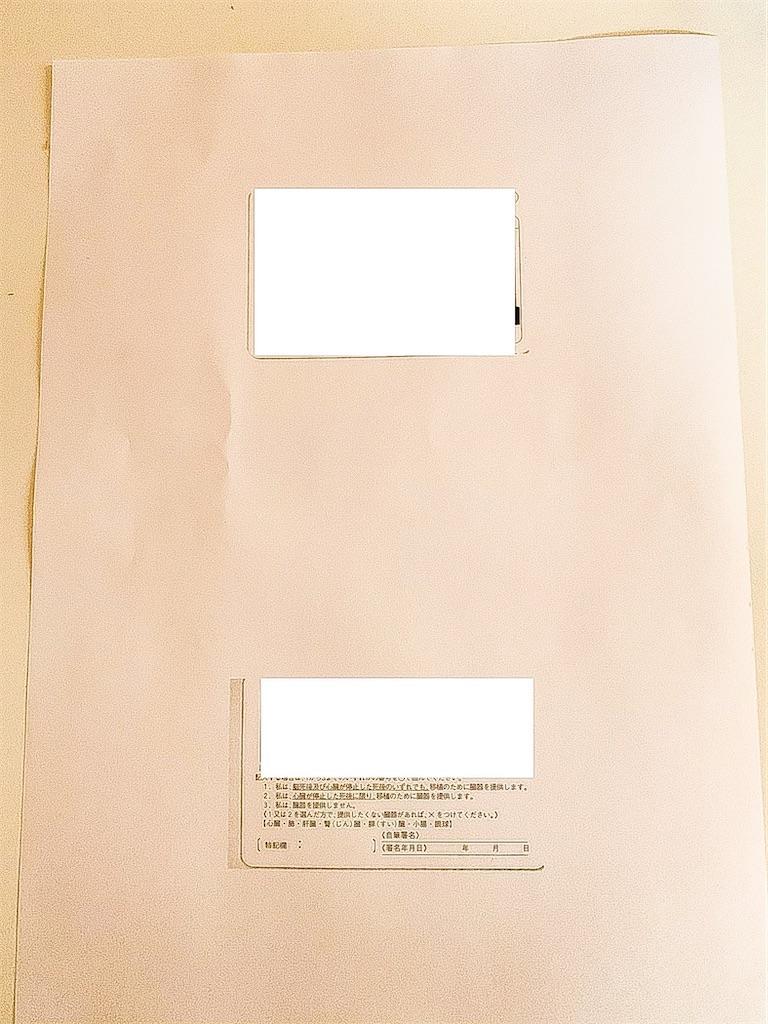 f:id:seikatsuhogo:20200522142719j:image f:id:seikatsuhogo:20200522142719j:image
