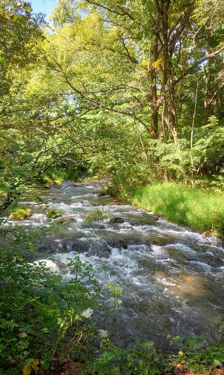 f:id:seikatu40:20190926085000j:plain