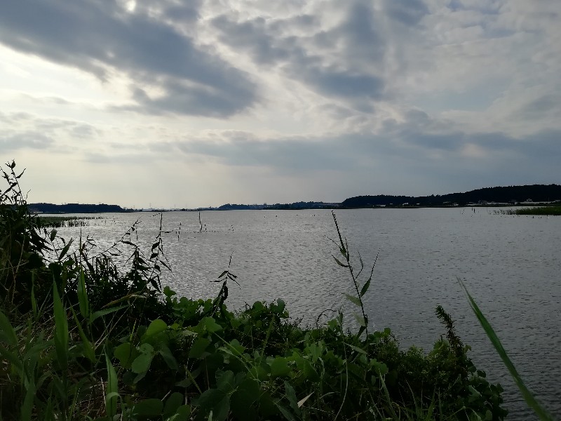 f:id:seiko_udoku:20200818190055j:plain
