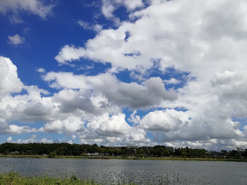 f:id:seiko_udoku:20200827130147j:plain