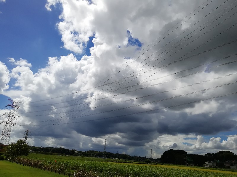 f:id:seiko_udoku:20200827130255j:plain