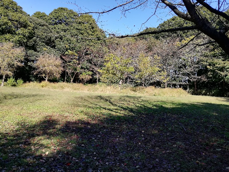 f:id:seiko_udoku:20201104155125j:plain f:id:seiko_udoku:20201104155125j:plain