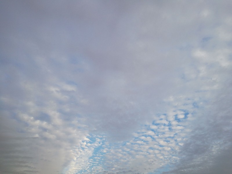 f:id:seiko_udoku:20201107045344j:plain