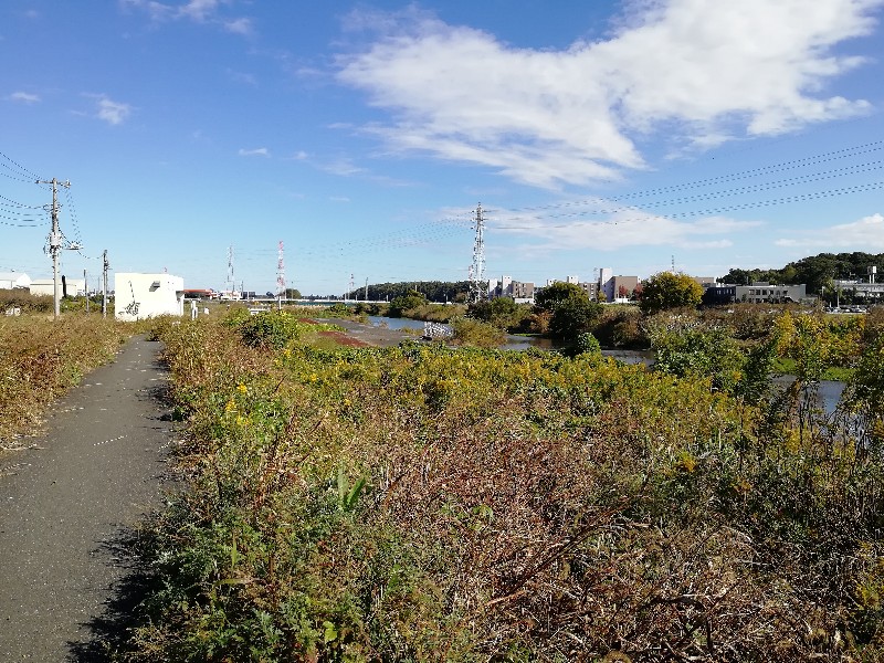 f:id:seiko_udoku:20201110141133j:plain