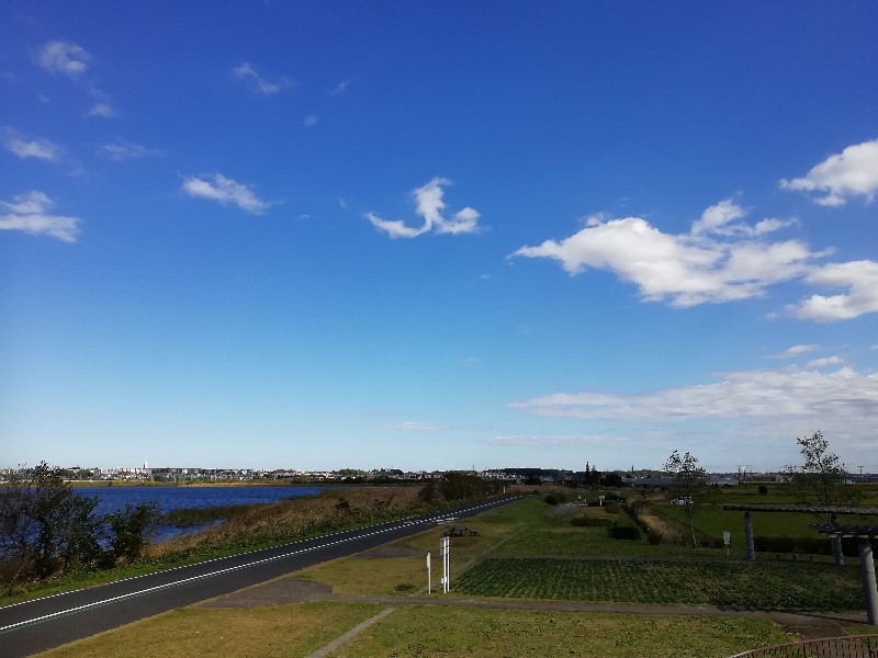 f:id:seiko_udoku:20201112005055j:plain