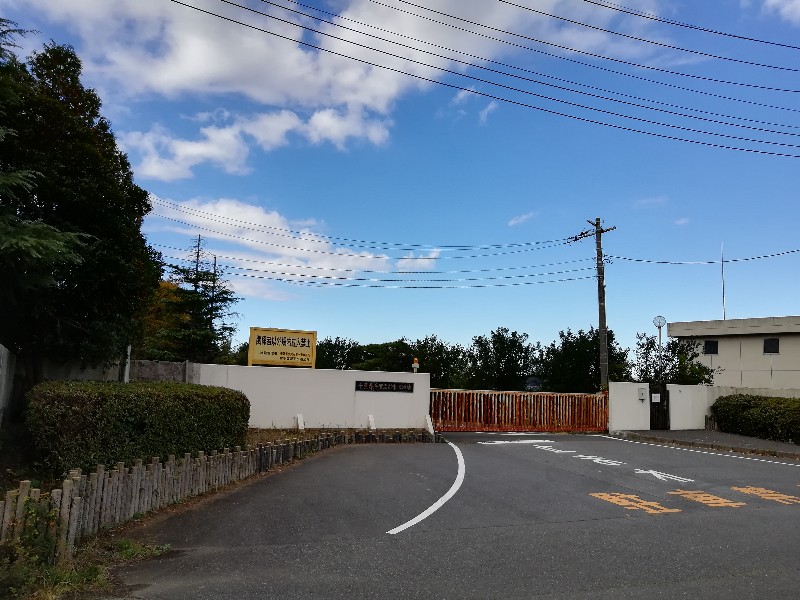 f:id:seiko_udoku:20201112005131j:plain