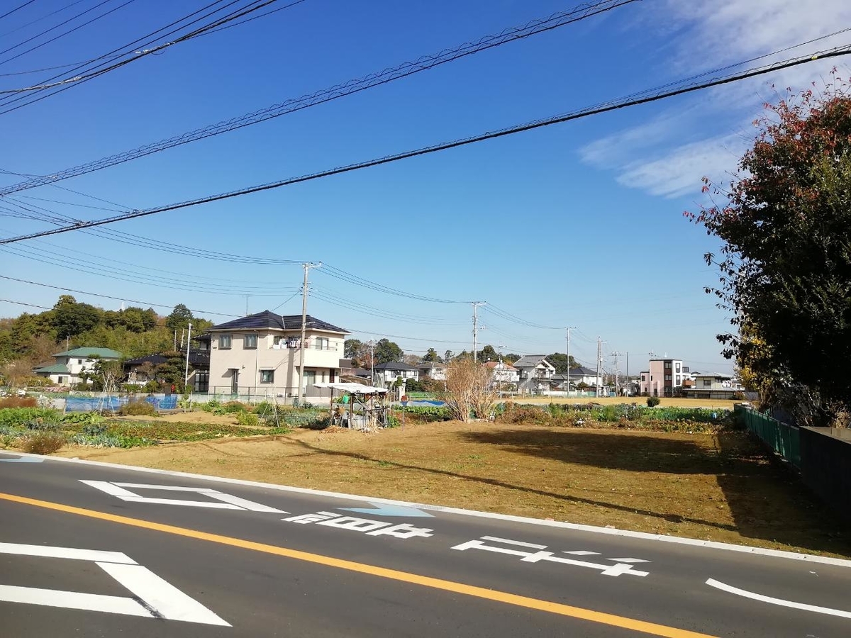 f:id:seiko_udoku:20201130204933j:plain