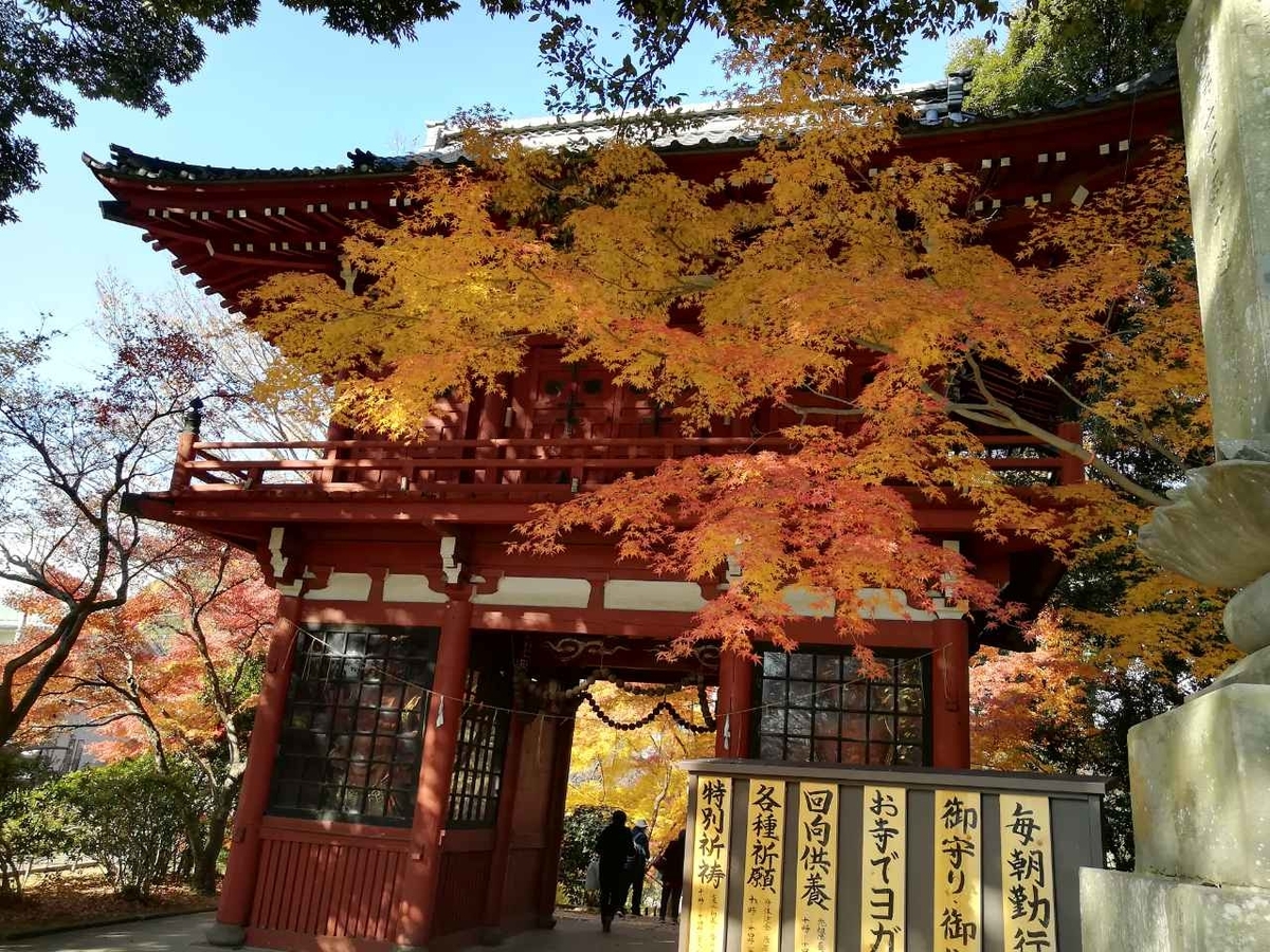f:id:seiko_udoku:20201214225414j:plain