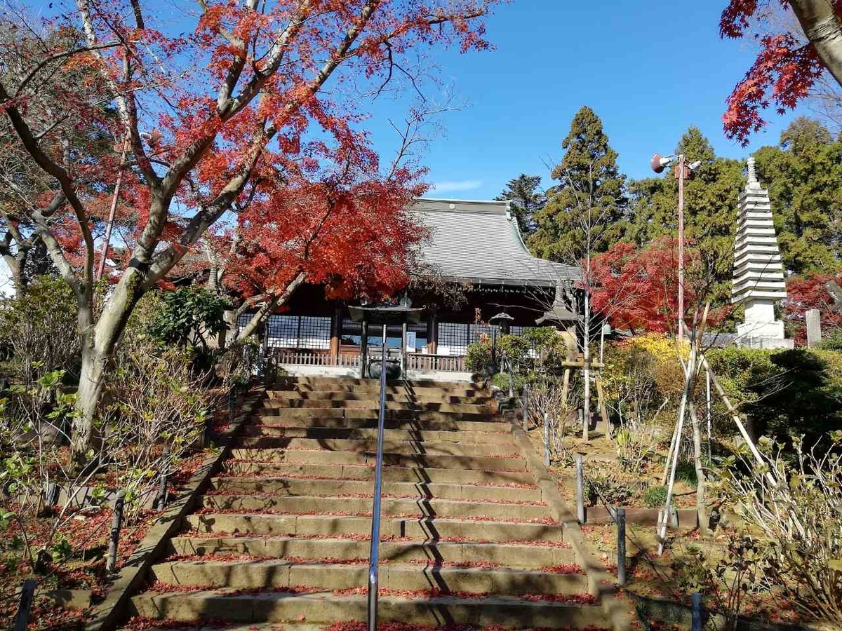 f:id:seiko_udoku:20201214230151j:plain