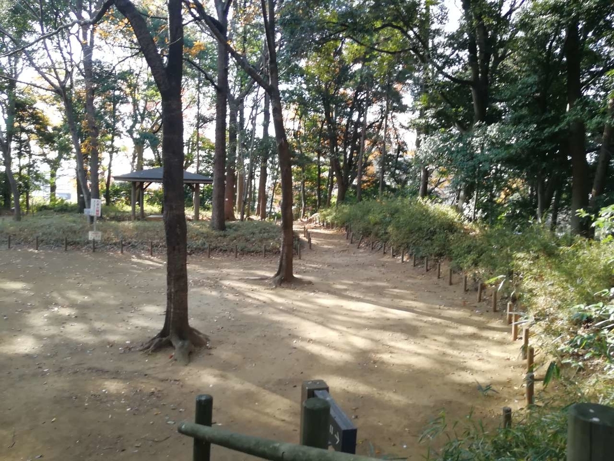 f:id:seiko_udoku:20201215203129j:plain